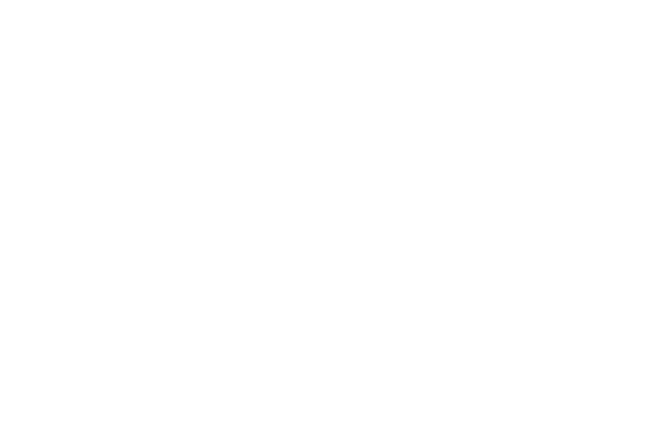 厳選の黒毛和牛